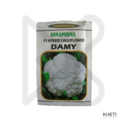 Cauliflower_DAMY